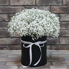 Композиция коробка гипсофил #REPLACE_PRED# Нариманове Цветочная композиция из Гипсофила в шляпной коробке #REPLACE_PRED# Нариманове